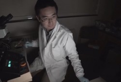 العلماء يبتكرون روبوتات يمكن أن تنمو وتأكل وتموت.. تفاصيل