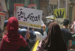 ثوار ههيا ينددون بجرائم العسكر من قرية الرئيس مرسى
