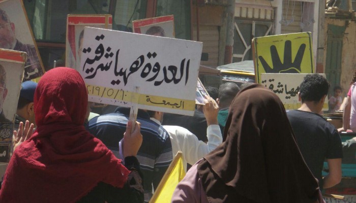 ثوار ههيا ينددون بجرائم العسكر من قرية الرئيس مرسى