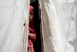 "الغذاء العالمي" يعلّق مساعداته لـ50 ألف سوري بـ"خفض التصعيد"