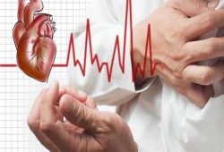 30 % من وفيات فلسطين بسبب أمراض القلب وهذه طرق الوقاية