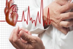 30 % من وفيات فلسطين بسبب أمراض القلب وهذه طرق الوقاية
