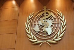 "الصحة العالمية" تصوت لتقديم خدمات إضافية لفلسطين والجولان