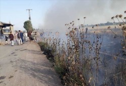 الأمم المتحدة: حرق آلاف الدونمات المزروعة في سوريا