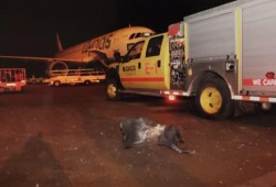 ذا درايف: ما دلالات استهداف الحوثيين للسعودية بصواريخ كروز؟