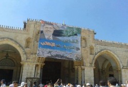 محمد مرسي وفلسطين.. قصة فارس وقضية