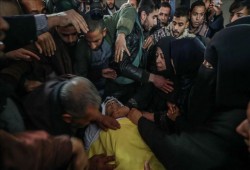 84 شهيدا فلسطينيا في النصف الأول من 2019