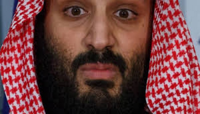 "مجتهد" يكشف تفاصيل مثيرة عن "المهمات الخاصة" لابن سلمان