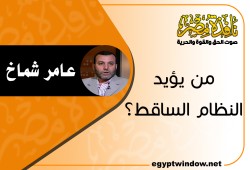 من يؤيد النظام الساقط؟