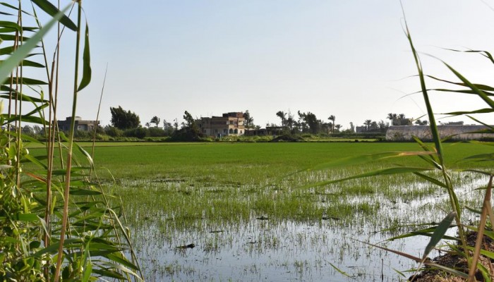 كارثة سد النهضة.. ما البدائل؟ وهل سيتعرض المصريين للعطش؟