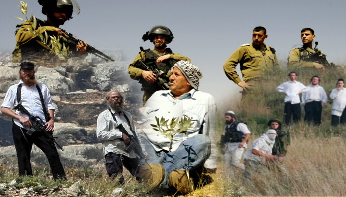 مستوطنون يعتدون على مُزارع خلال قطفه الزيتون بنابلس ويصيبونه بكسور