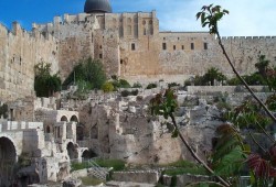 الهيئات الإسلامية تحذر من مساعي الاحتلال لتمرير صلوات اليهود بالأقصى