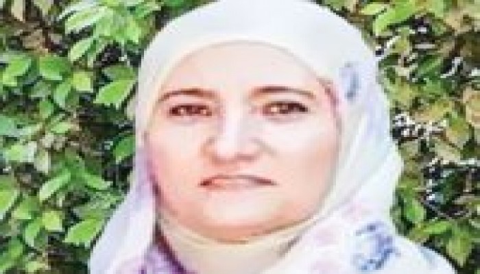 نيابة الانقلاب تجدد حبس علا القرضاوي وكمال خليل 15 يوما