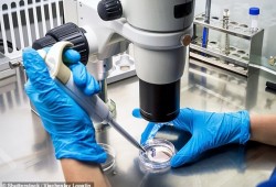 علماء يطورون "فيروسا" يمكنه قتل جميع أنواع السرطان