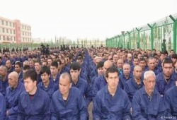 ناشط إيغوري يكشف حقيقة ما يجري في"تشينغيانغ"