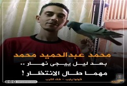 طبيب يواجه الموت بـ”العقرب” واستمرار جرائم الإخفاء القسري