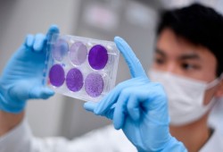 تركيا تتوصل لأولى خطوات لقاح كورونا وتعزل الفيروس