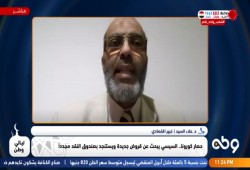 بالفيديو.. خبير اقتصادي: سياسية الاقتراض ستصل بمصر إلى الإفلاس
