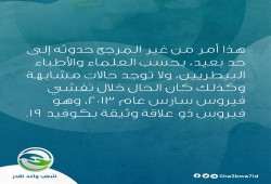 شعب واحد نقدر.. هل الحيوانات الأليفة تنقل كورونا (انفوجرافيك)