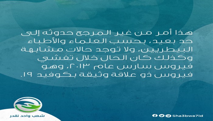 شعب واحد نقدر.. هل الحيوانات الأليفة تنقل كورونا (انفوجرافيك)