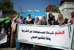 غزة.. دعوة لتوظيف الأدوات الفنية والإعلامية لمواجهة "الضم"