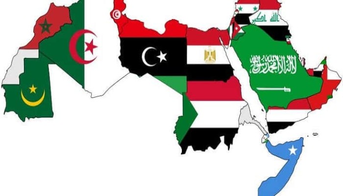 موقع فرنسي: عالم عربي قديم يحتضر.. وعالم عربي جديد لم تتضح ملامحه بعد
