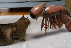 جوجل تتيح عرض المخلوقات القديمة بالواقع المعزز