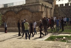 عشرات المستوطنين يقتحمون باحات الأقصى