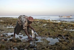 مخاوف يمنية من استغلال الإمارات لجزيرة سقطرى في السياحة الصهيونية بعد التطبيع