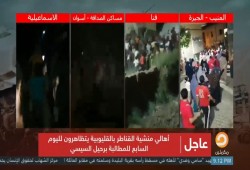 المصريون يتظاهرون ضد السيسي لليوم السابع على التوالي