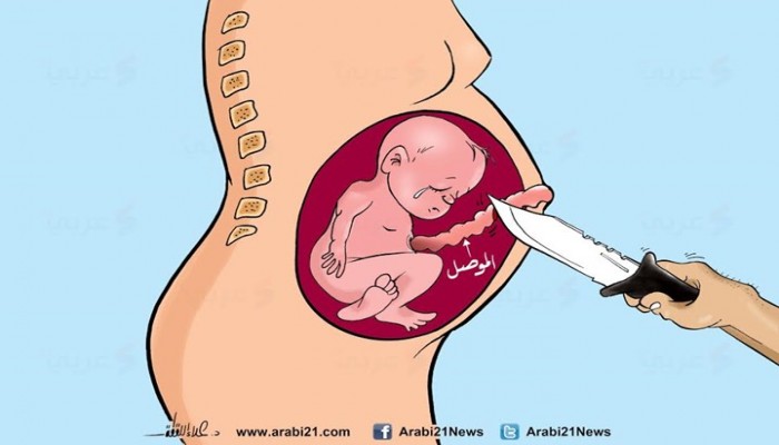 كاريكاتير : الموصل..