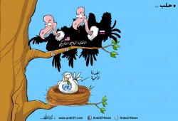 كاريكاتير: حلب