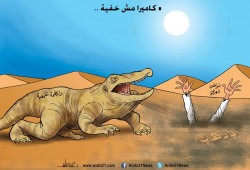 كاميرا مش خفية!