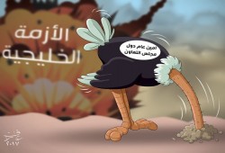الهروب من الأزمة
