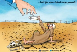 السيسي يوجه باستيراد حبوب منع الحمل