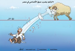 أضاحي مصر