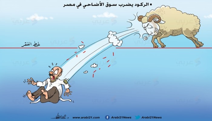 أضاحي مصر