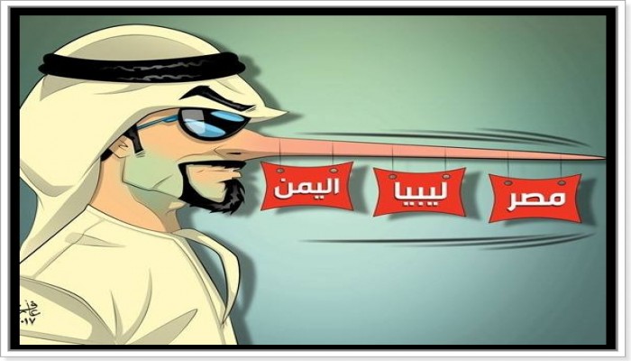 سياسة التدخلات