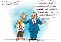 أول قرار للسيسي بعد الاستفتاء
