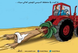 التهجير بسيناء