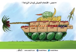 كاريكاتير|| اقتحام الجيش لميدان الزراعة