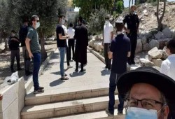 82 مستوطنًا يقتحمون المسجد الأقصى