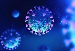 نصف مليون إصابة بفيروس كورونا خلال يوم واحد فقط