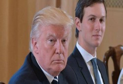 جاريد كوشنر يدعو ترامب إلى الاعتراف بالهزيمة