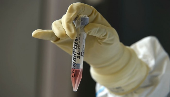 شركات هندية تسعى لتوفير لقاحات كورونا للدول الفقيرة