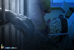 "واعد" تطالب بفريق دولي لعلاج الأسرى بسجون الاحتلال