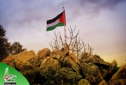 انطلاق فعاليات اليوم العالمي للتضامن مع الشعب الفلسطيني