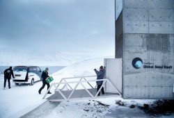 علماء يهرّبون بذورا نادرة من سوريا إلى مخزن قطبي