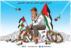 التضامن وفقط
