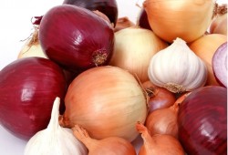 تناول الثوم والبصل يوميا يحمي النساء من سرطان الثدي